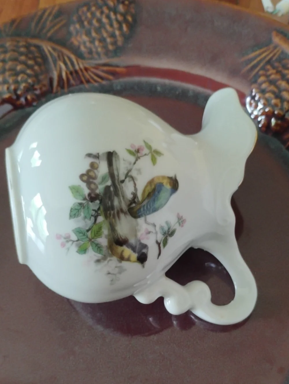 Mid-century Modern Royal Parakeet CREAMER VNVC